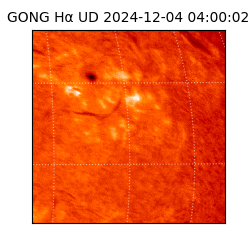 gong - 2024-12-04T04:00:02