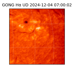 gong - 2024-12-04T07:00:02