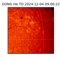 gong - 2024-12-04T09:00:22