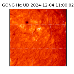 gong - 2024-12-04T11:00:02