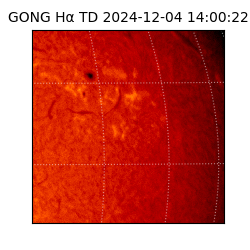 gong - 2024-12-04T14:00:22