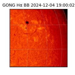 gong - 2024-12-04T19:00:02