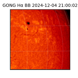 gong - 2024-12-04T21:00:02