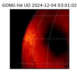 gong - 2024-12-04T03:01:02