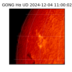 gong - 2024-12-04T11:00:02