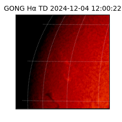 gong - 2024-12-04T12:00:22
