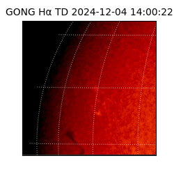 gong - 2024-12-04T14:00:22