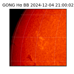 gong - 2024-12-04T21:00:02