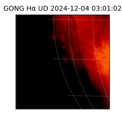 gong - 2024-12-04T03:01:02