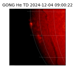 gong - 2024-12-04T09:00:22