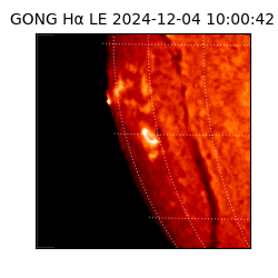 gong - 2024-12-04T10:00:42