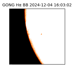 gong - 2024-12-04T16:03:02