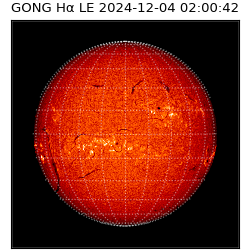 gong - 2024-12-04T02:00:42