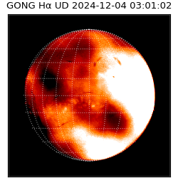 gong - 2024-12-04T03:01:02