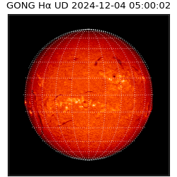 gong - 2024-12-04T05:00:02