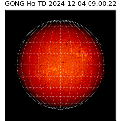 gong - 2024-12-04T09:00:22