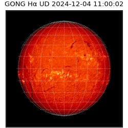gong - 2024-12-04T11:00:02