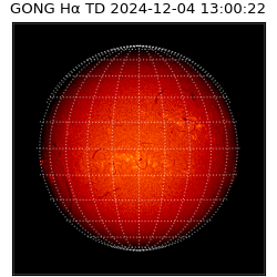 gong - 2024-12-04T13:00:22