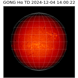 gong - 2024-12-04T14:00:22