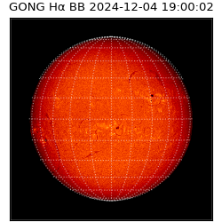 gong - 2024-12-04T19:00:02