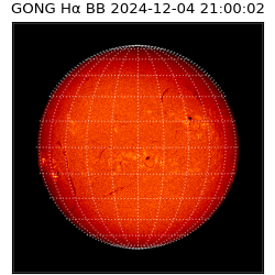 gong - 2024-12-04T21:00:02