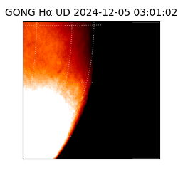 gong - 2024-12-05T03:01:02