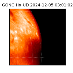 gong - 2024-12-05T03:01:02