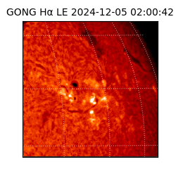 gong - 2024-12-05T02:00:42