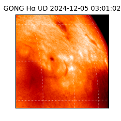 gong - 2024-12-05T03:01:02