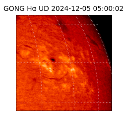 gong - 2024-12-05T05:00:02