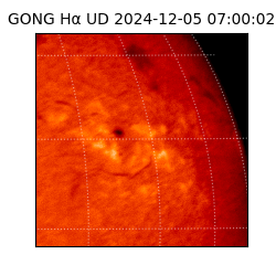 gong - 2024-12-05T07:00:02