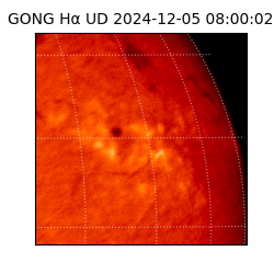 gong - 2024-12-05T08:00:02