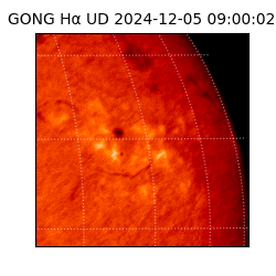 gong - 2024-12-05T09:00:02