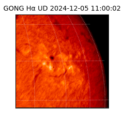 gong - 2024-12-05T11:00:02
