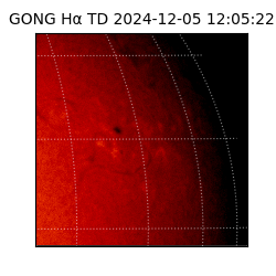 gong - 2024-12-05T12:05:22