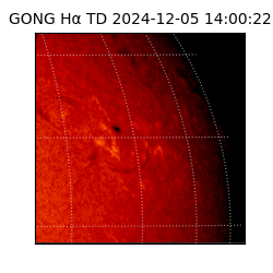 gong - 2024-12-05T14:00:22