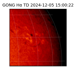 gong - 2024-12-05T15:00:22