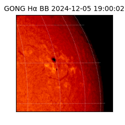 gong - 2024-12-05T19:00:02