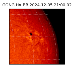 gong - 2024-12-05T21:00:02