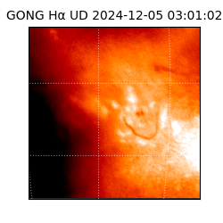 gong - 2024-12-05T03:01:02