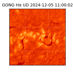 gong - 2024-12-05T11:00:02