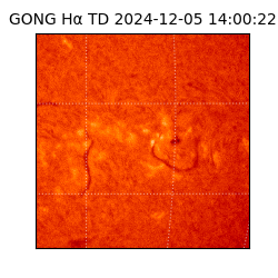 gong - 2024-12-05T14:00:22