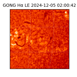 gong - 2024-12-05T02:00:42