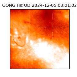 gong - 2024-12-05T03:01:02