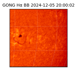 gong - 2024-12-05T20:00:02