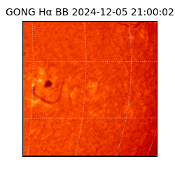 gong - 2024-12-05T21:00:02