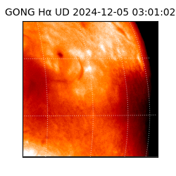 gong - 2024-12-05T03:01:02