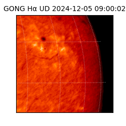 gong - 2024-12-05T09:00:02