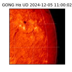gong - 2024-12-05T11:00:02