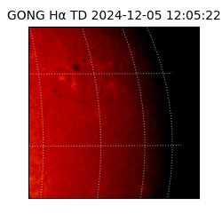 gong - 2024-12-05T12:05:22